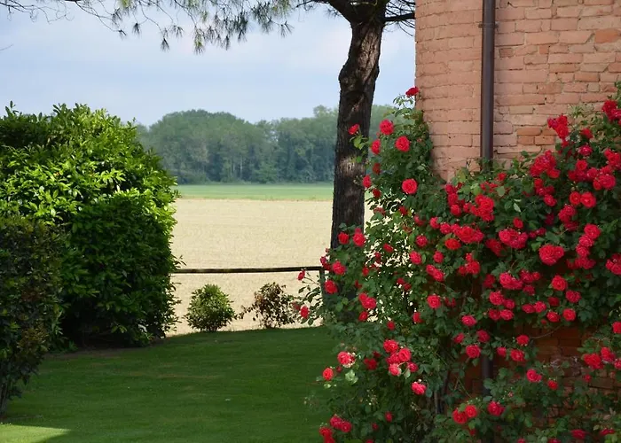 Le Coloniche * Deruta